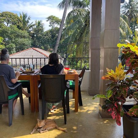 Star Canal Cottage Negombo Buitenkant foto